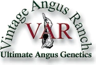Vintage Angus Ranch, LLC